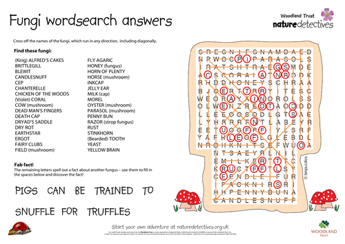 King Alfred's Cakes - Common Fungi Wordsearch