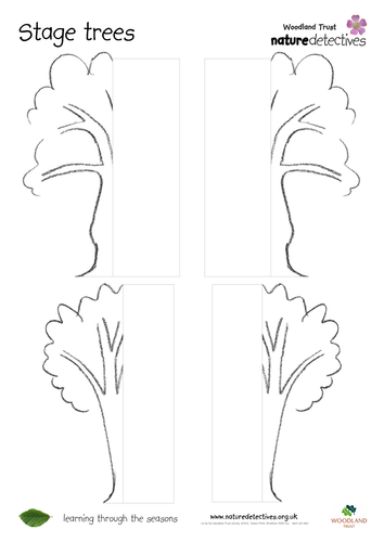Stage Trees | Teaching Resources