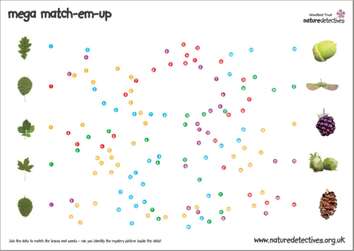Dot to Dot - Match Leaves and Seeds