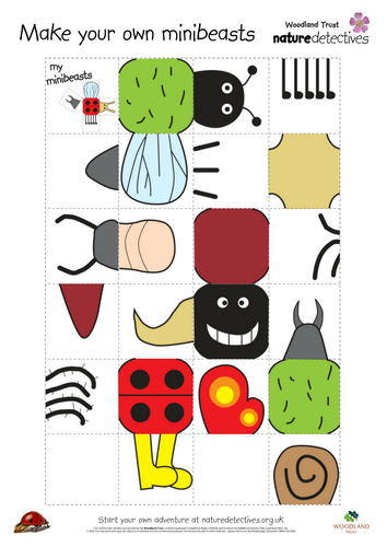 Games - DIY Bug Bodies