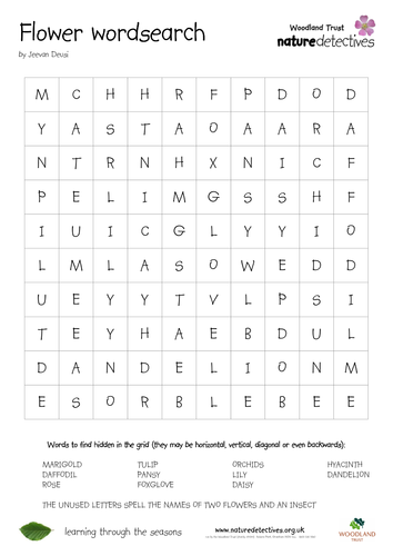 Bluebell - Flower Wordsearches