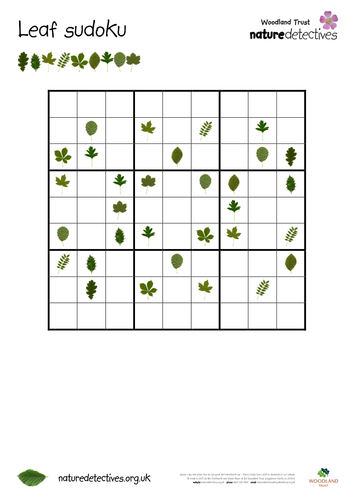 Ash Leaf Sudoku Teaching Resources