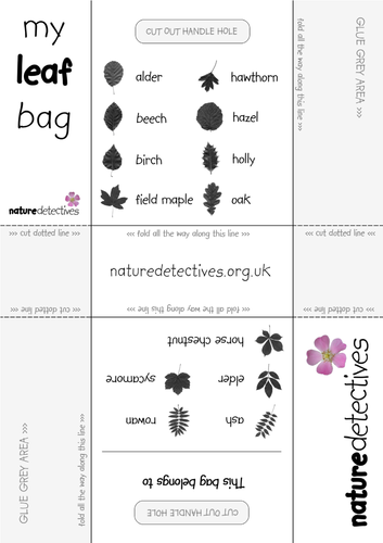 Leaves - Leaf Collection Bag