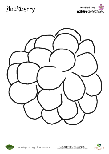 Bramble - Colouring Sheet