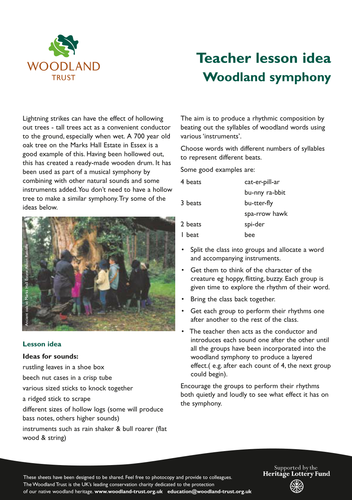 Woodland Symphony