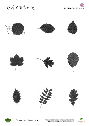 Leaf Cartoons