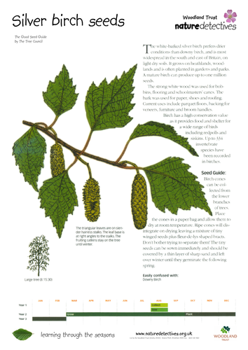 Hawthorn - Collecting and Planting Seeds