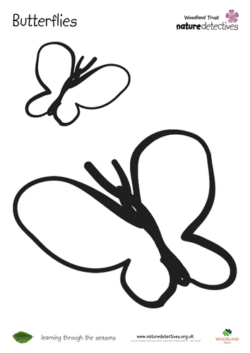 butterflies colouring sheet teaching resources