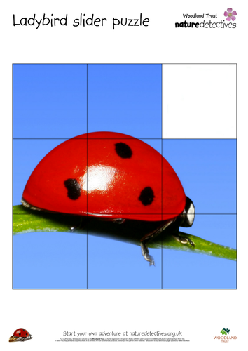 Ladybird slider puzzle
