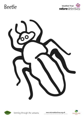 Beetle - Colouring Sheet