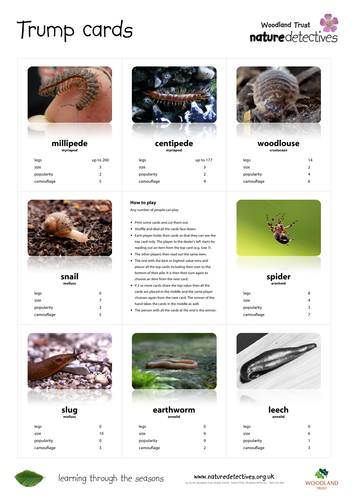 Mini Beasts Trump Cards