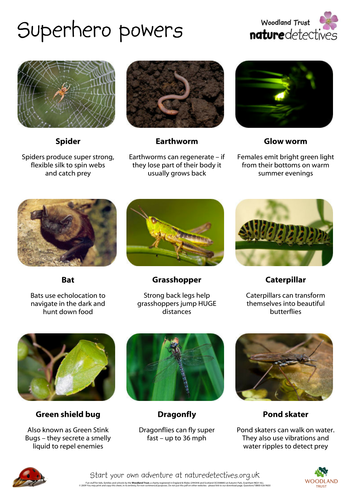 Pond Skater - Animal Superheroes