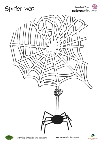 Spider - Spider Web Colouring Sheet