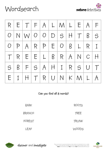 Insects - Wordsearches