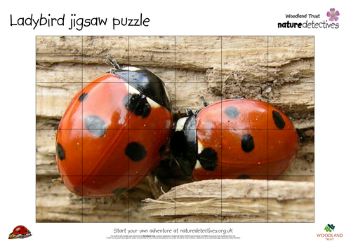 Ladybird jigsaw puzzle