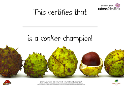 Conker champion certificate
