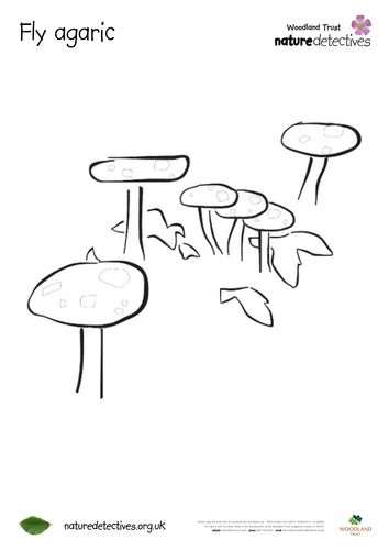 Fly agaric crop outline
