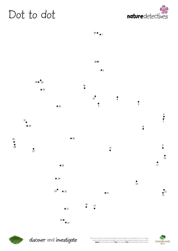 Field Maple - Leaf Dot to Dots