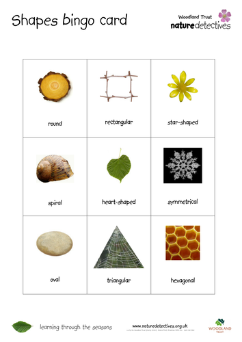 Shapes Bingo