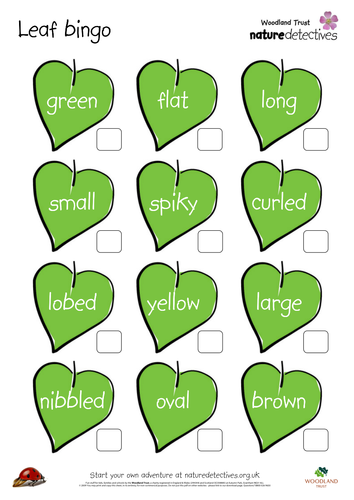 Leaf Bingo