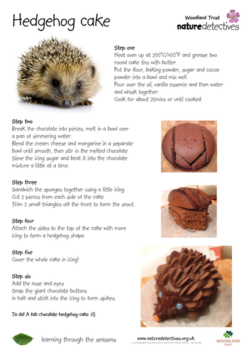 Recipes - Hedgehog Cake