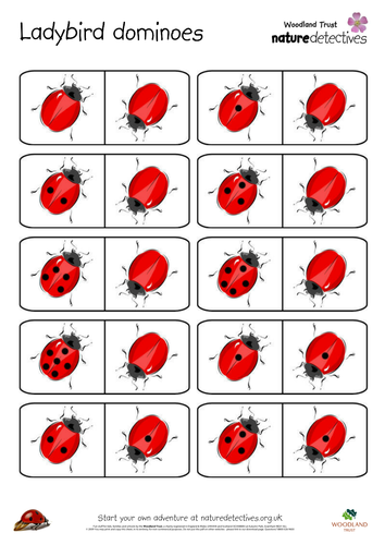 Ladybird Dominoes