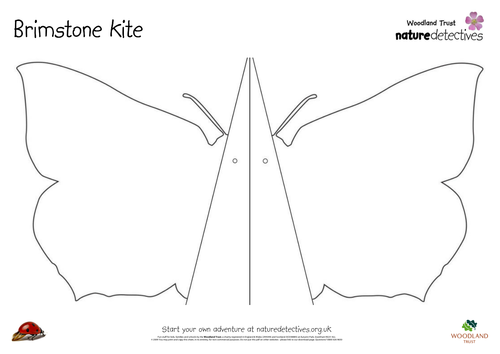 Make a butterfly kite