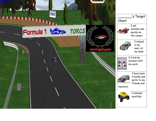 Individual Behaviour Chart on Cars