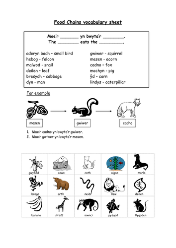 Food chains activity in Welsh