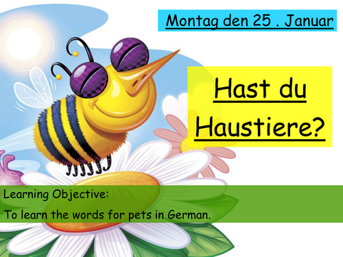 Hast du Haustiere? - Lesson on pets