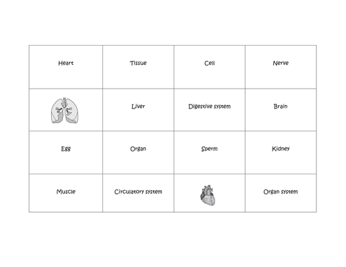 Organs and organ systems dynamic learning grid