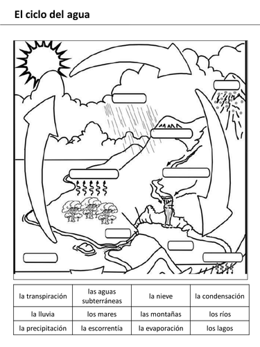 26 Water Cycle Worksheet High School - Worksheet Resource Plans