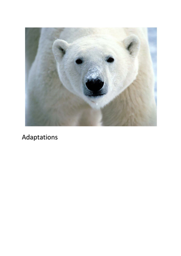 Adaptations of Animals Starter