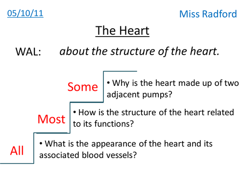 Heart structure - dissection lesson - AQA As Bio