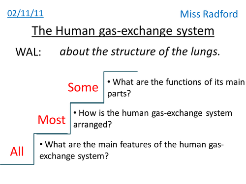 Lung structure - AQA As Biology