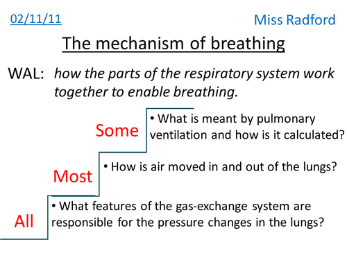 Mechanism of breathing (ventilation) - AQA As Bio