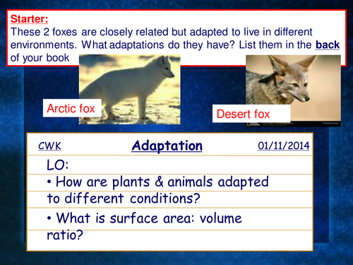 Adaptations powerpoint | Teaching Resources