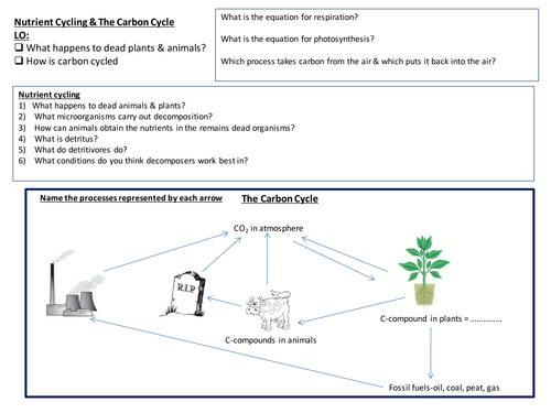 The Carbon Cycle | Teaching Resources