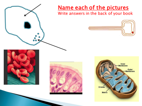 Diffusion