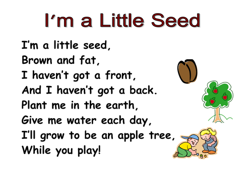 Themed Poems KS1- seeds and plants by kCOATES  Teaching 