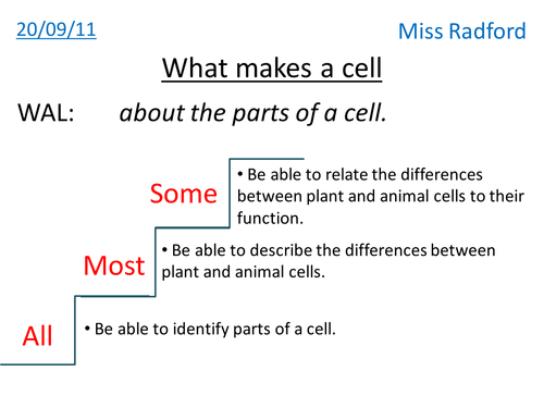 Animal & Plant cell structure - Year 7