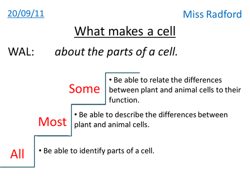 Animal & Plant cell structure - Year 7 | Teaching Resources