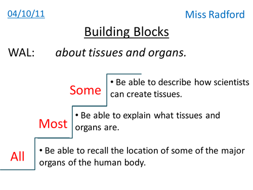 Cells, tissues & organs - Year 7
