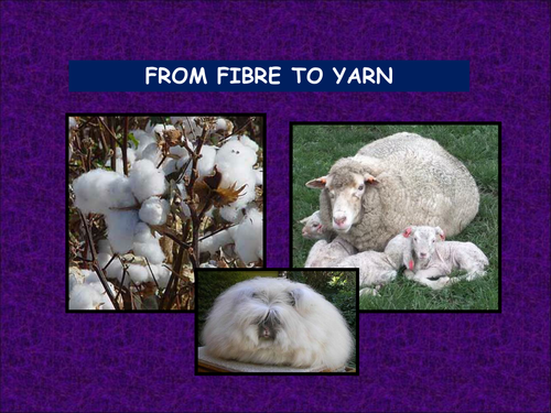 Exam prep or revision or info powerpoints