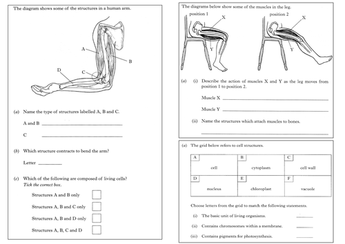 Biology homework page image