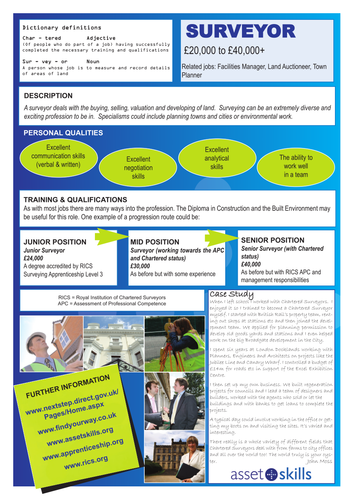 Surveying Careers Information
