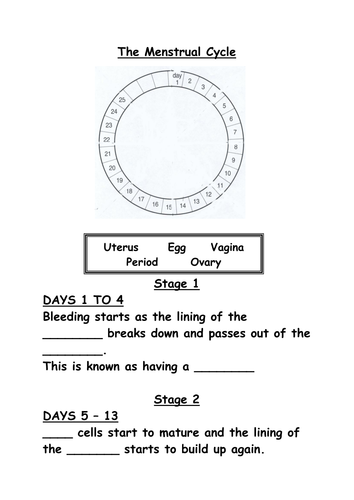 Collection of Menstrual Cycle Worksheet - Bluegreenish