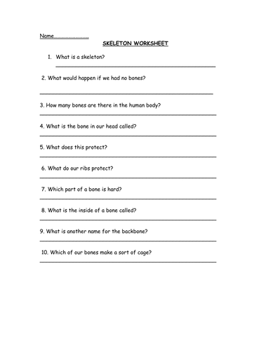 Skeleton | Teaching Resources