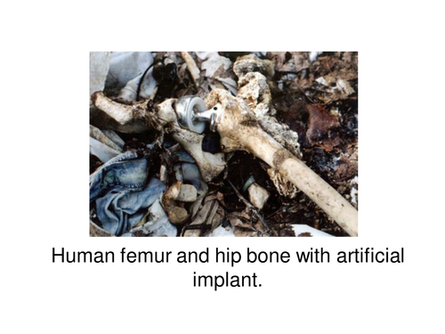 New Crime Scence Science