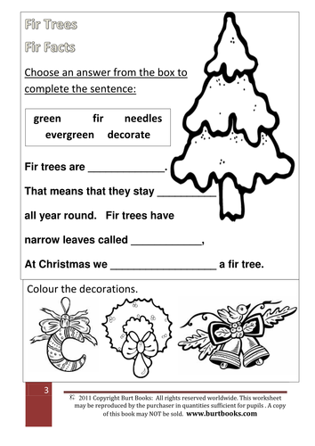 Christmas Theme: Fir Tree Facts